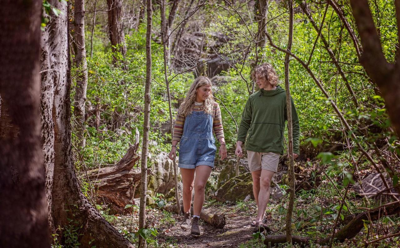 Eden Cabin Forested Tiny Home On Lookout Mtn Chattanooga Kültér fotó